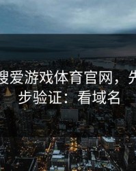 别急着搜爱游戏体育官网，先做这一步验证：看域名