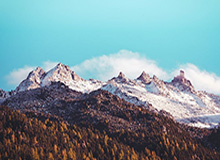 开云app相关下载包怎么避坑？五秒判断讲明白